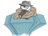 船营区取证公司解说第三者承担离婚赔偿责任吗